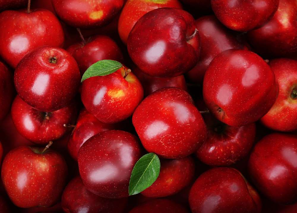 بهترین سیب قرمز ایران